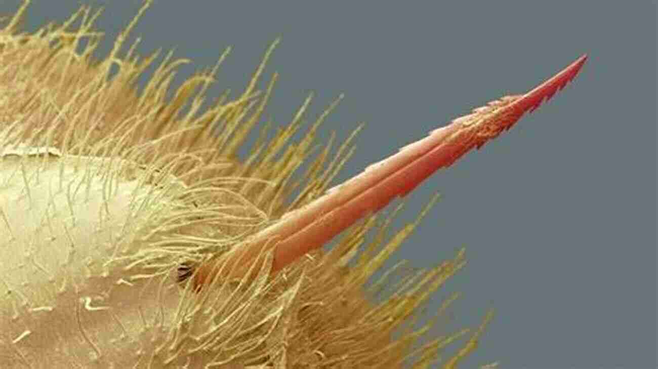 A Close Up Of Bee Venom Microscopic Structure: Unlocking The Secrets Of Mortality The Sting Of Death M A N