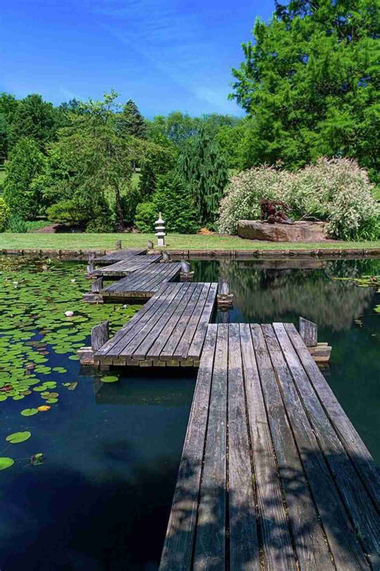 A Picturesque Bridge Over A Serene Pond In Adam Garden Tending Adam S Garden: Evolving The Cognitive Immune Self