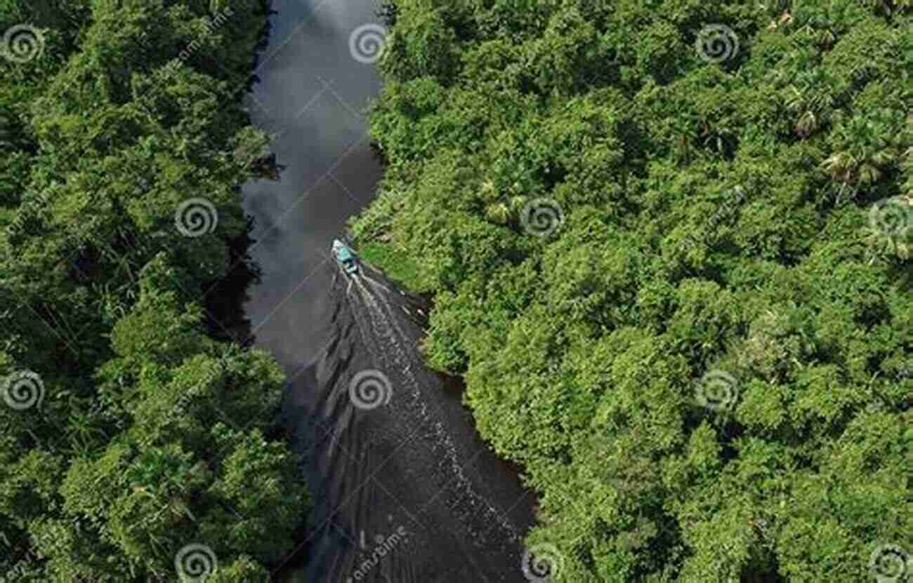 A Boat Navigating Through The Lush Vegetation Of Orinoco Delta Venezuela Travel Guide: Discover The Best Time To Go Places In Venezuela