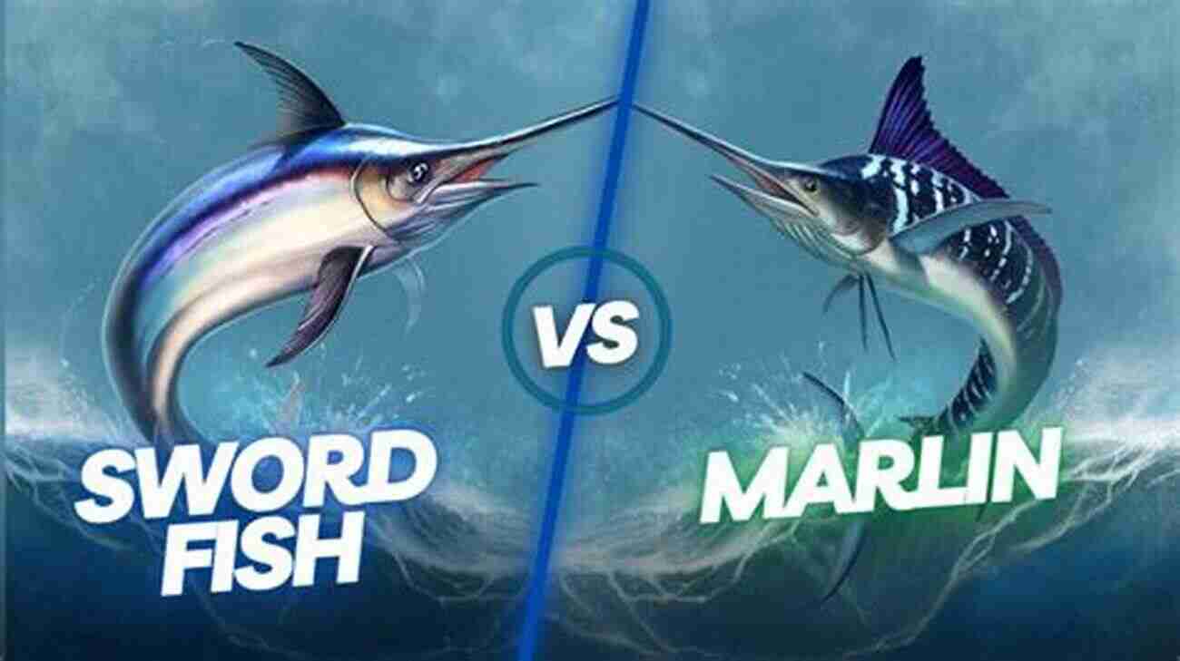 A Fierce Battle Between A Swordfish And A Tuna Tales Of Swordfish And Tuna