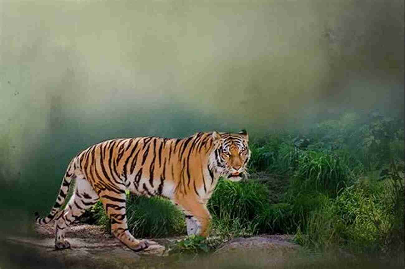 A Magnificent Bengal Tiger Going Going Gone: 100 Animals And Plants On The Verge Of Extinction (Conservation)