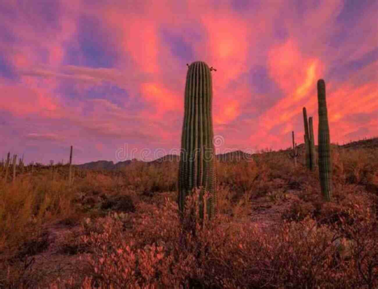 A Mesmerizing Sunset Over The Desert Lands The Desert: Lands Of Lost Borders