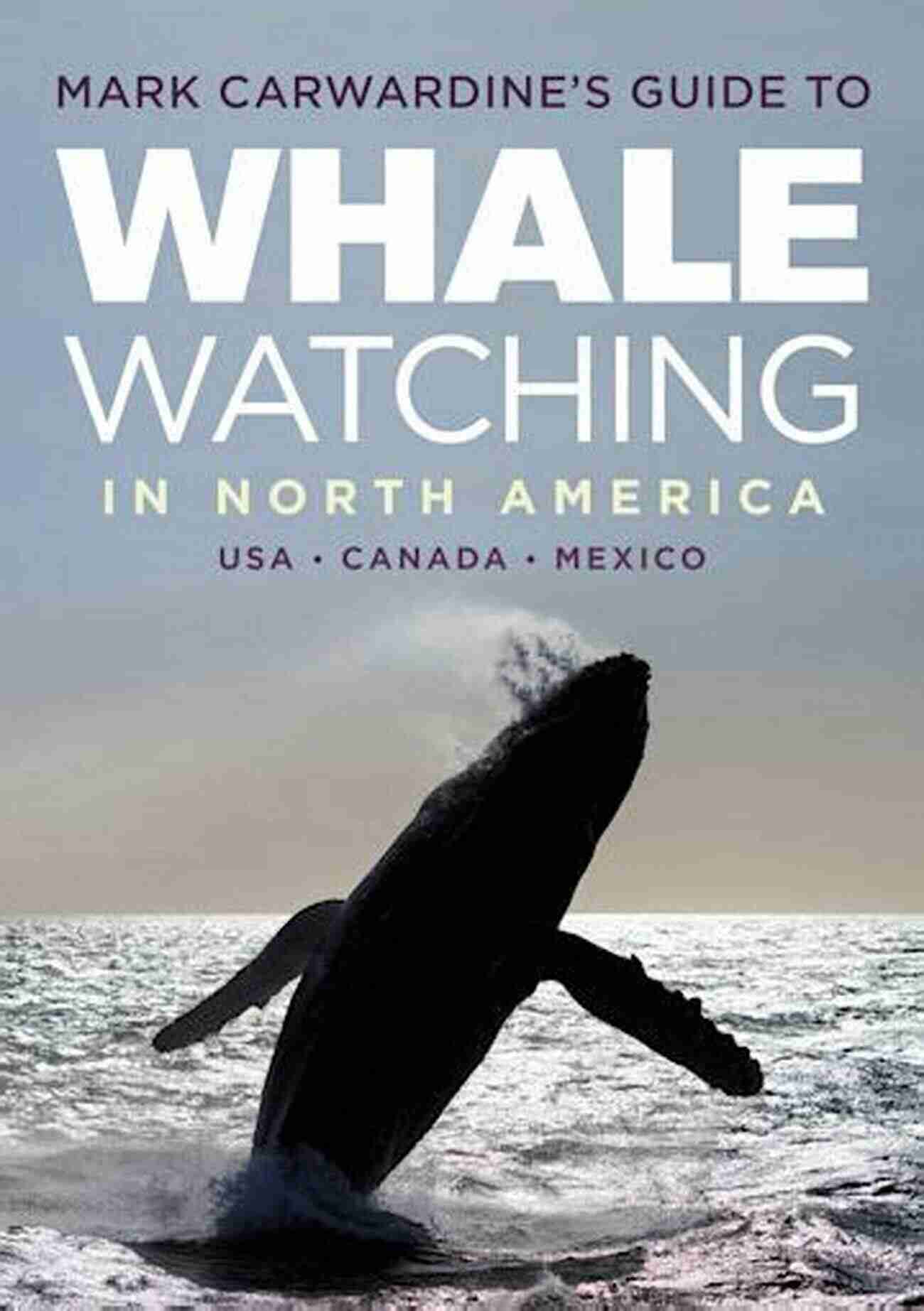 Alaska Whale Watching Mark Carwardine S Guide To Whale Watching In North America