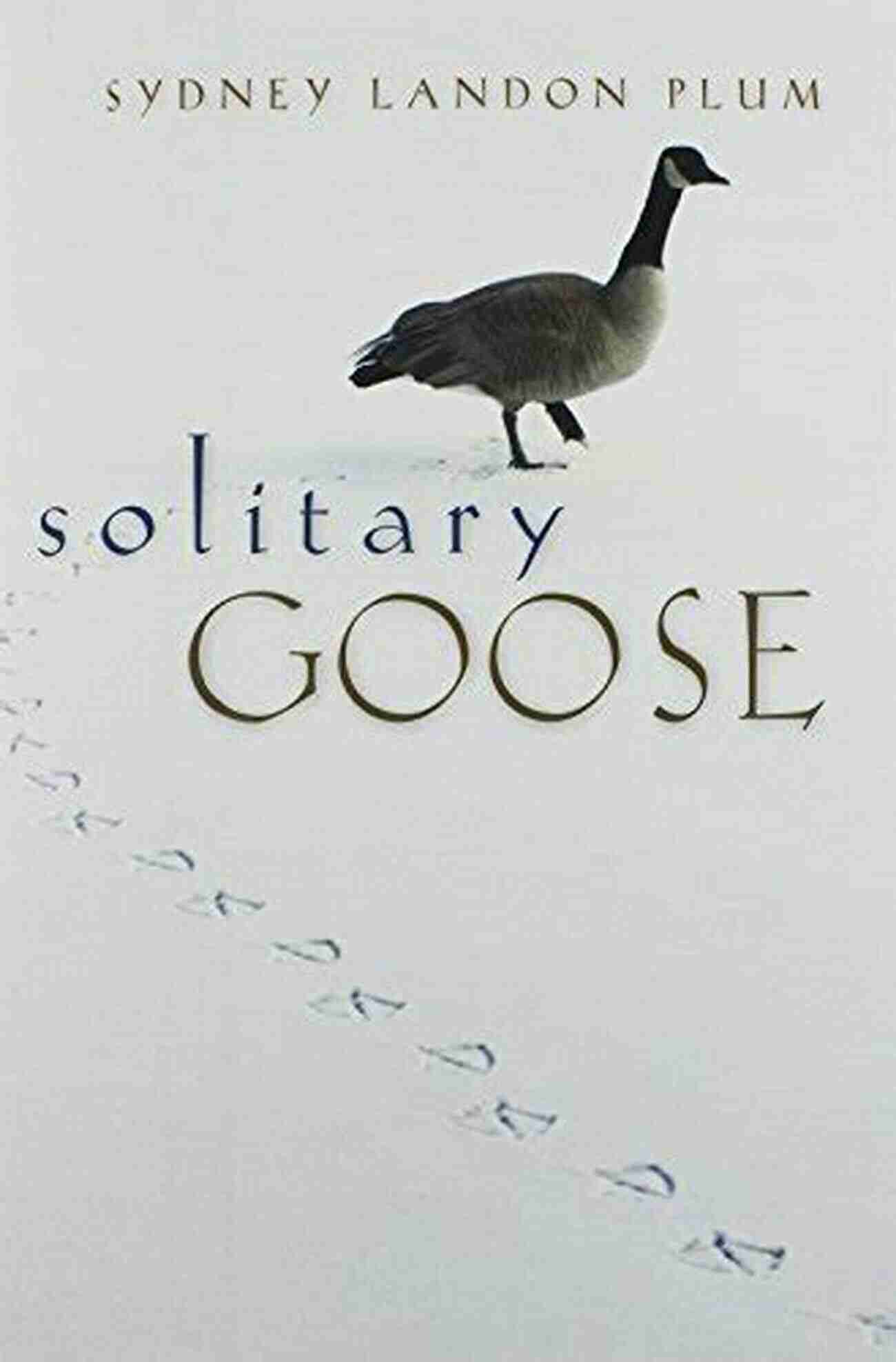 Artwork Capturing The Beauty Of Solitary Goose Sydney Landon Plum Solitary Goose Sydney Landon Plum