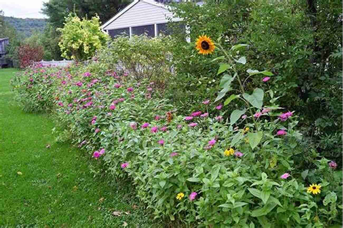 Beautiful Bluegrass Landscape With Wildflowers In Full Bloom Venerable Trees: History Biology And Conservation In The Bluegrass