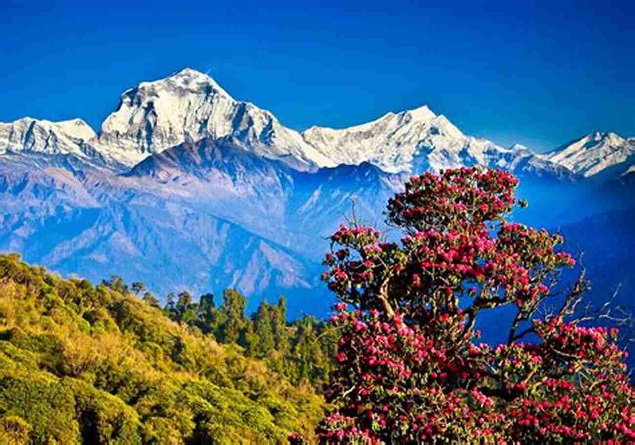 Beautiful Sceneries In The Himalayan Valley Making Faces: Self And Image Creation In A Himalayan Valley