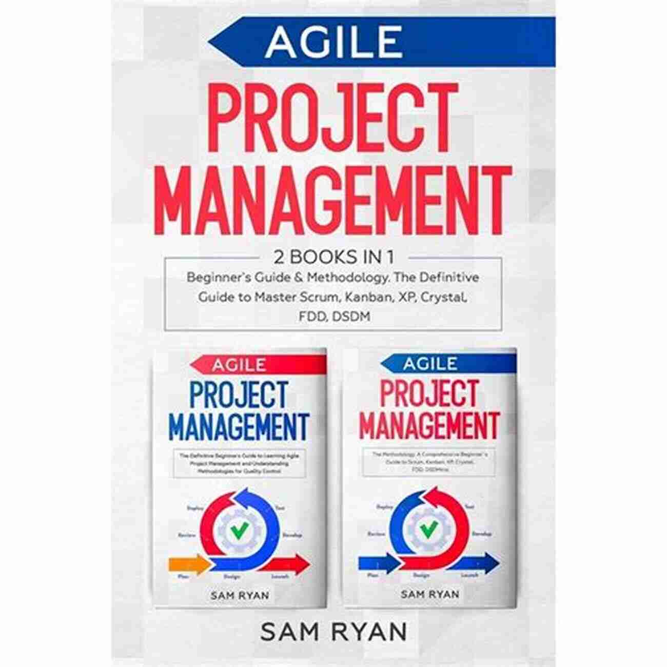 Beginner Guide To Master Scrum Kanban XP Agile Project Management: 2 In 1: Beginner S Guide Methodology The Definitive Guide To Master Scrum Kanban XP Crystal FDD DSDM