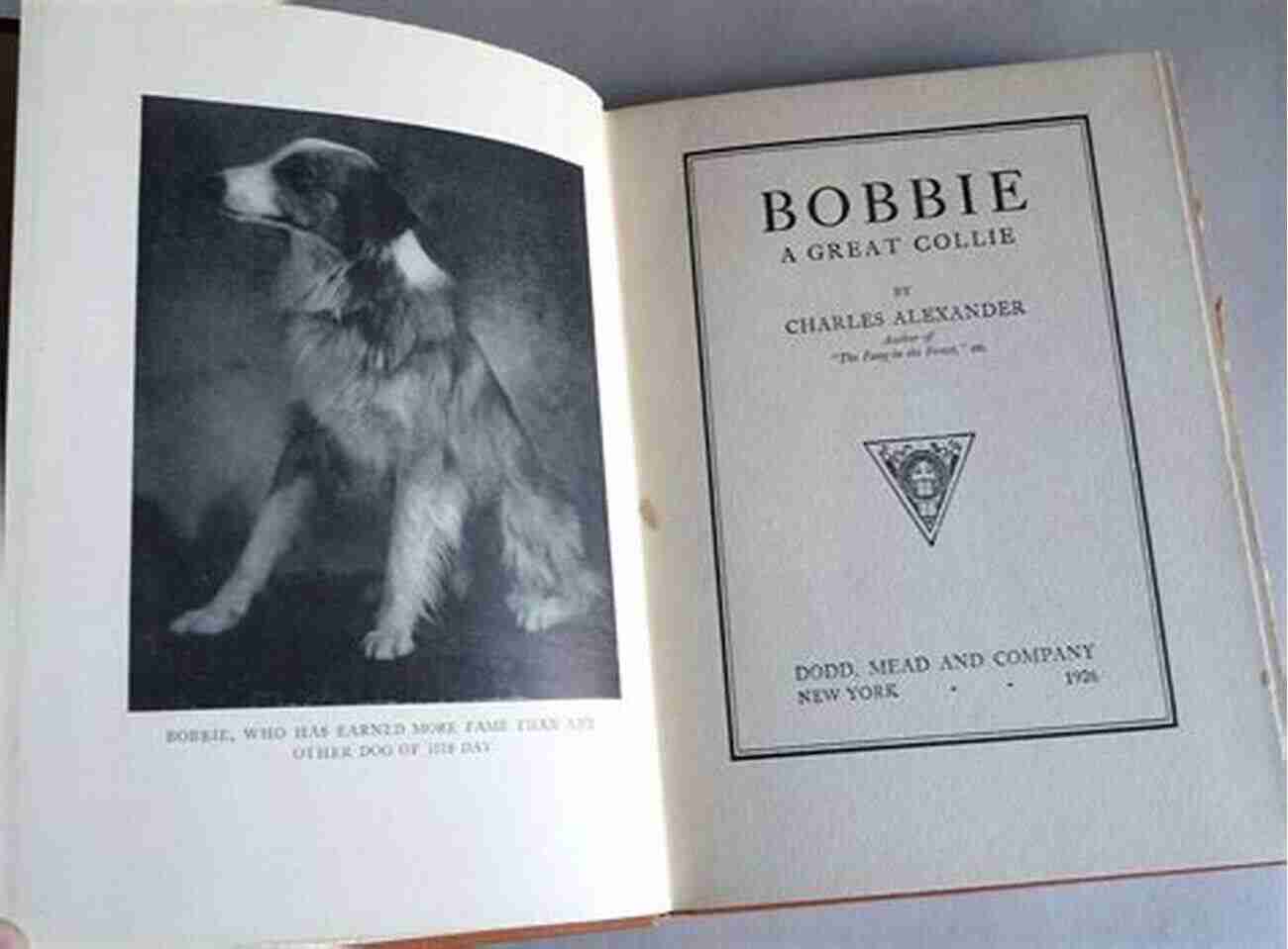 Bobbie The Great Collie Robert Volpe The Courageous Canine Bobbie: A Great Collie Robert J Volpe