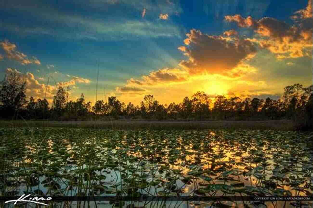 Breathtaking Sunset Over A Wetland Reserve Wetlands In A Dry Land: More Than Human Histories Of Australia S Murray Darling Basin (Weyerhaeuser Environmental Books)