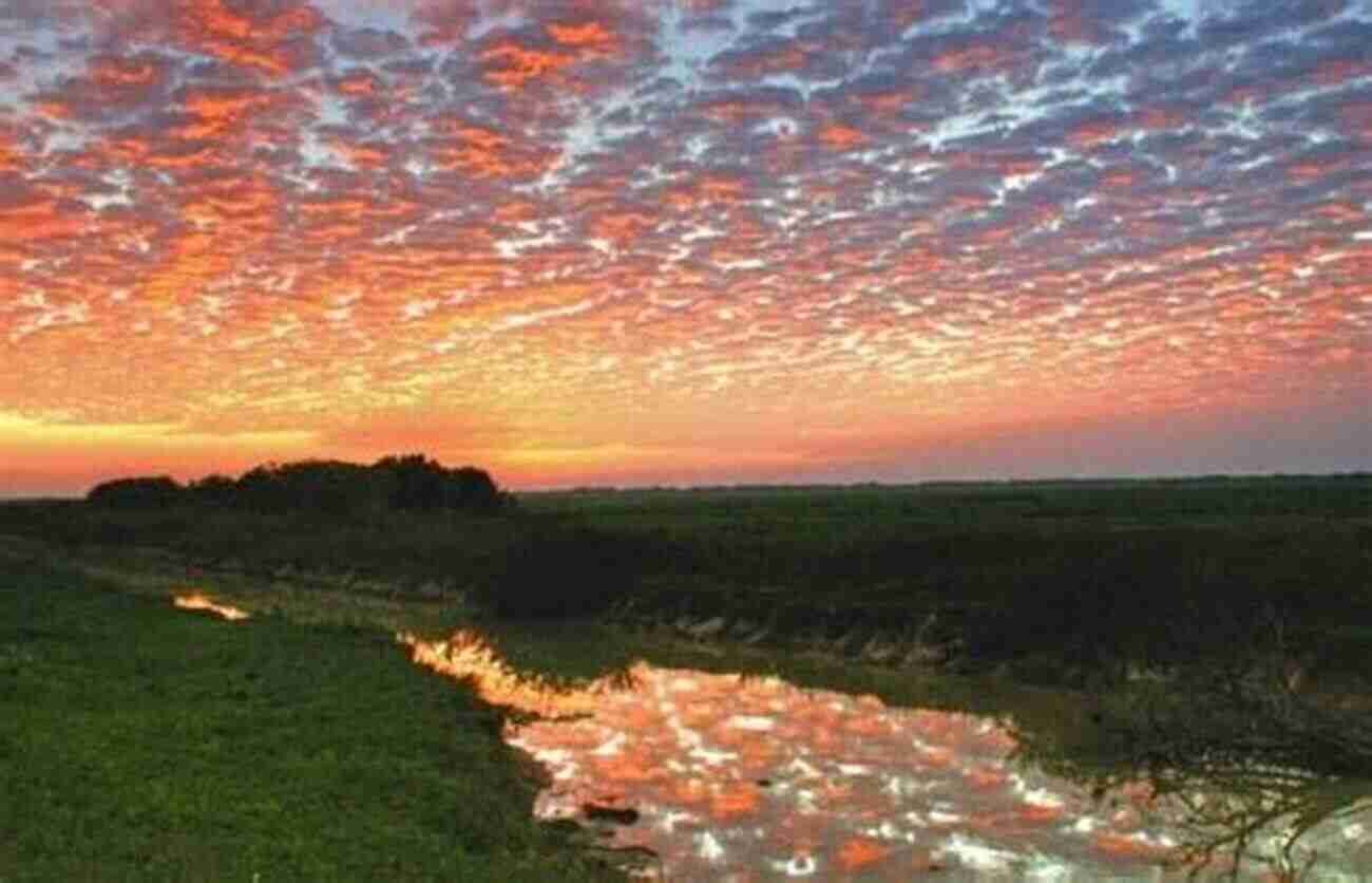 Breathtaking Sunrise In The Llanos Travels And Adventures In South And Central America First Series: Life In The Llanos Of Venezuela