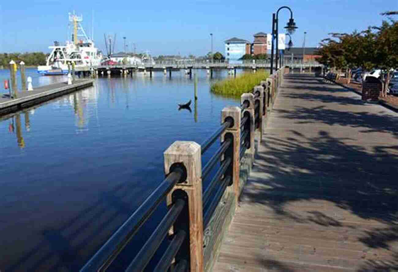 Breathtaking View Of The Cape Fear Coastline The New Guide To North Carolina Beaches: All You Need To Know To Explore And Enjoy Currituck Calabash And Everywhere Between (Southern Gateways Guides)