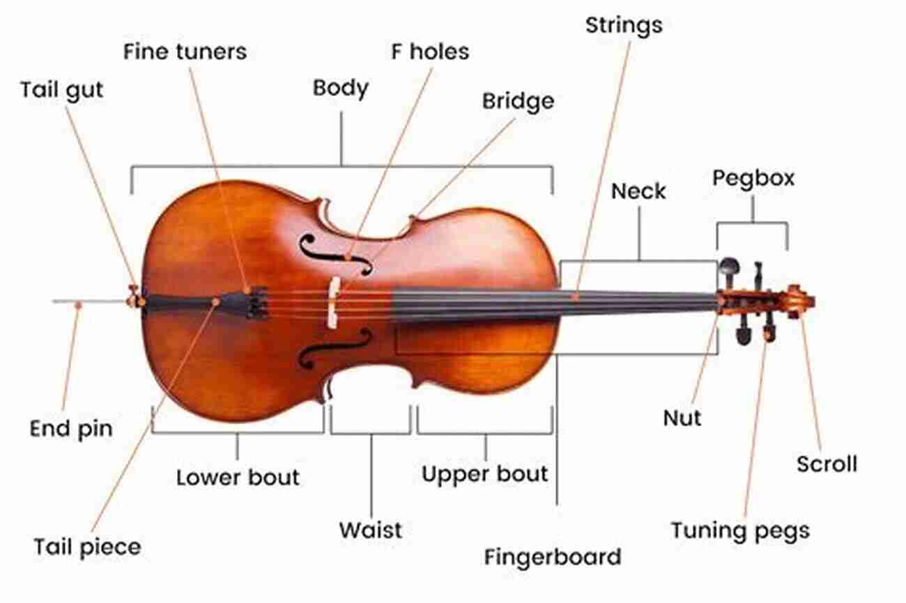 Brief Guide To The Cello Anatomy A Brief Guide To The Cello: Philosophies And Concepts Of Technique