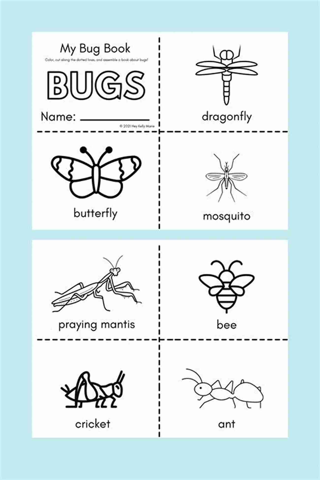 Bugs By Numbers Kid: Growing Knowledge With Bug Books And Activities Bugs By Numbers (Kid 1)