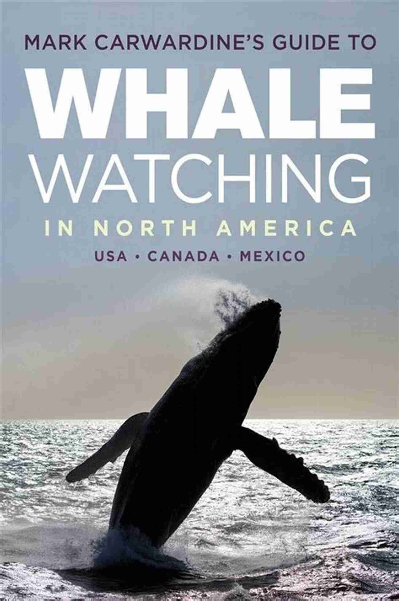 California Whale Watching Mark Carwardine S Guide To Whale Watching In North America