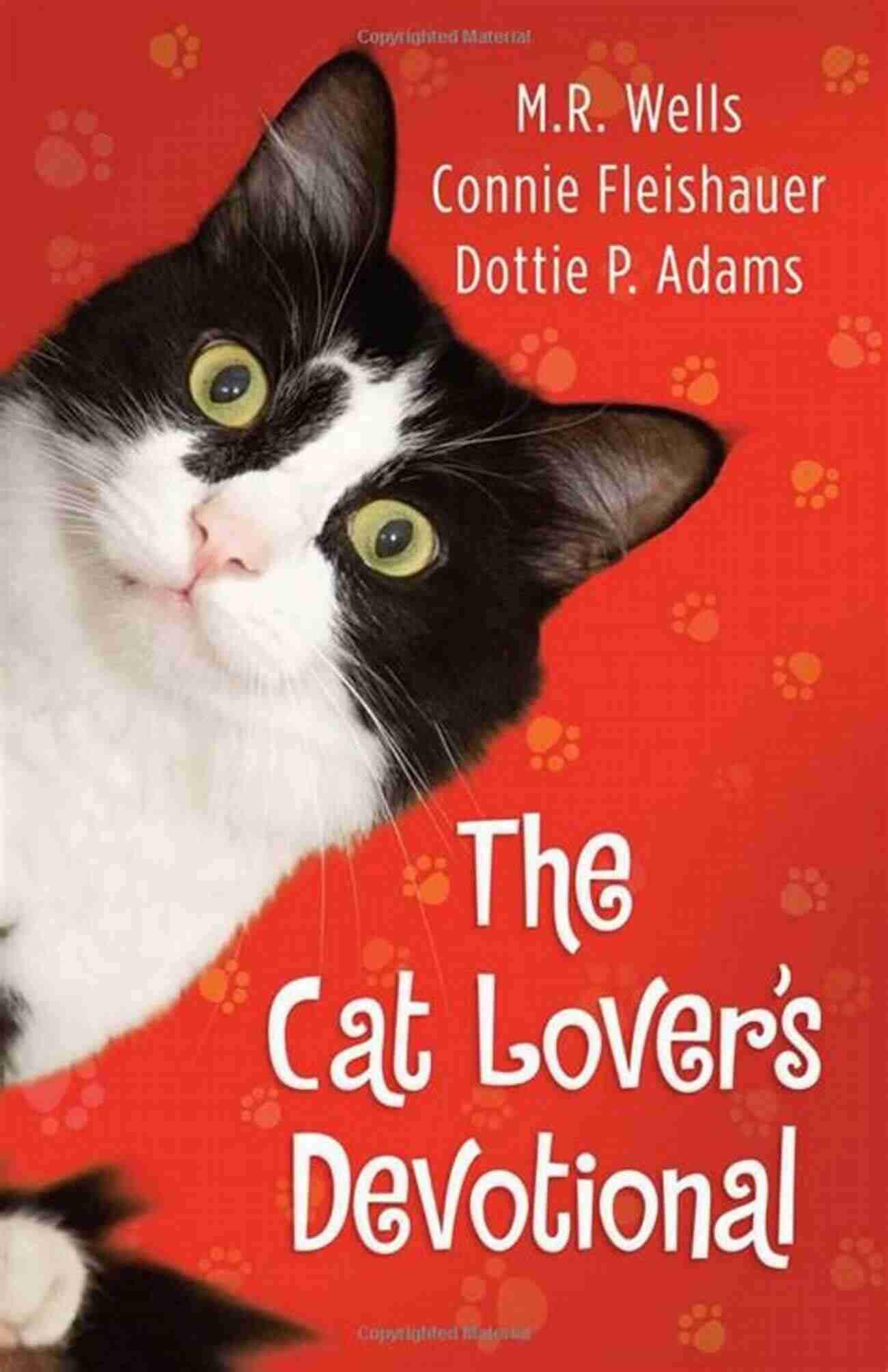 Cat Lover Devotional Connecting With Your Feline Companion Spiritually Cat Lover S Devotional: What We Learn About Life From Our Favorite Felines