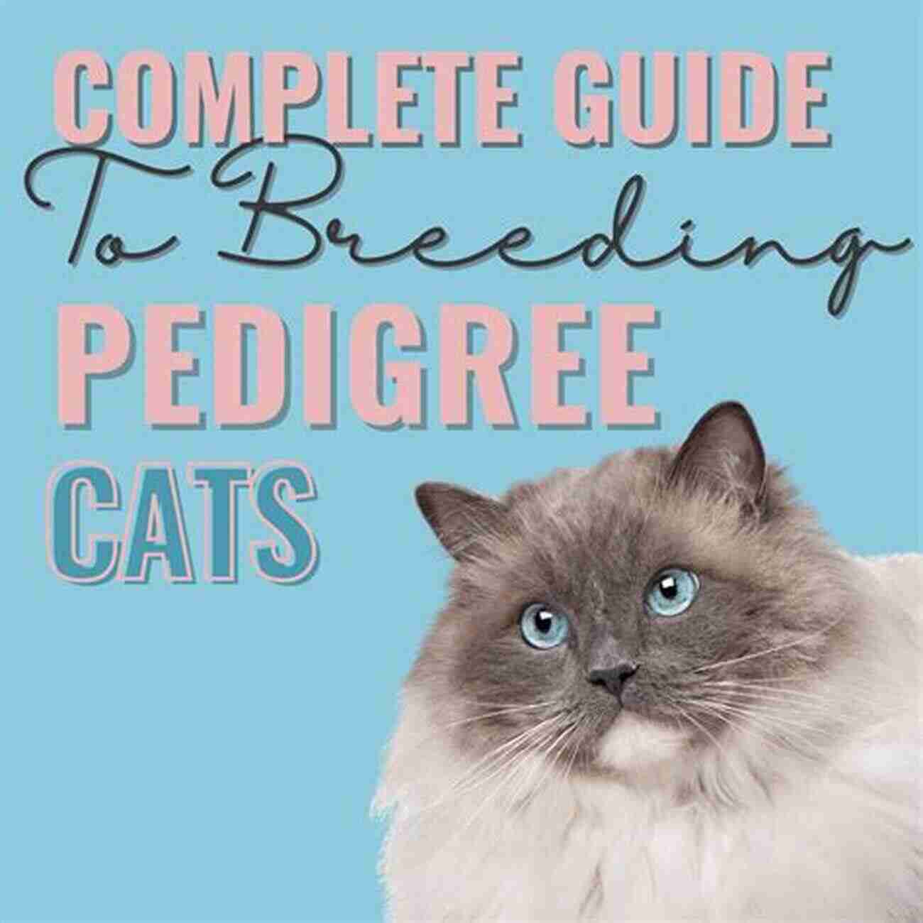 Cats Breeding And Training Guide: A Cute Bengal Kitten CATS BREEDING AND TRAINING GUIDE: The Complete Guide To Breeding Cats And Kittens From Breeds To Diseases And Their Control (Farm Management)