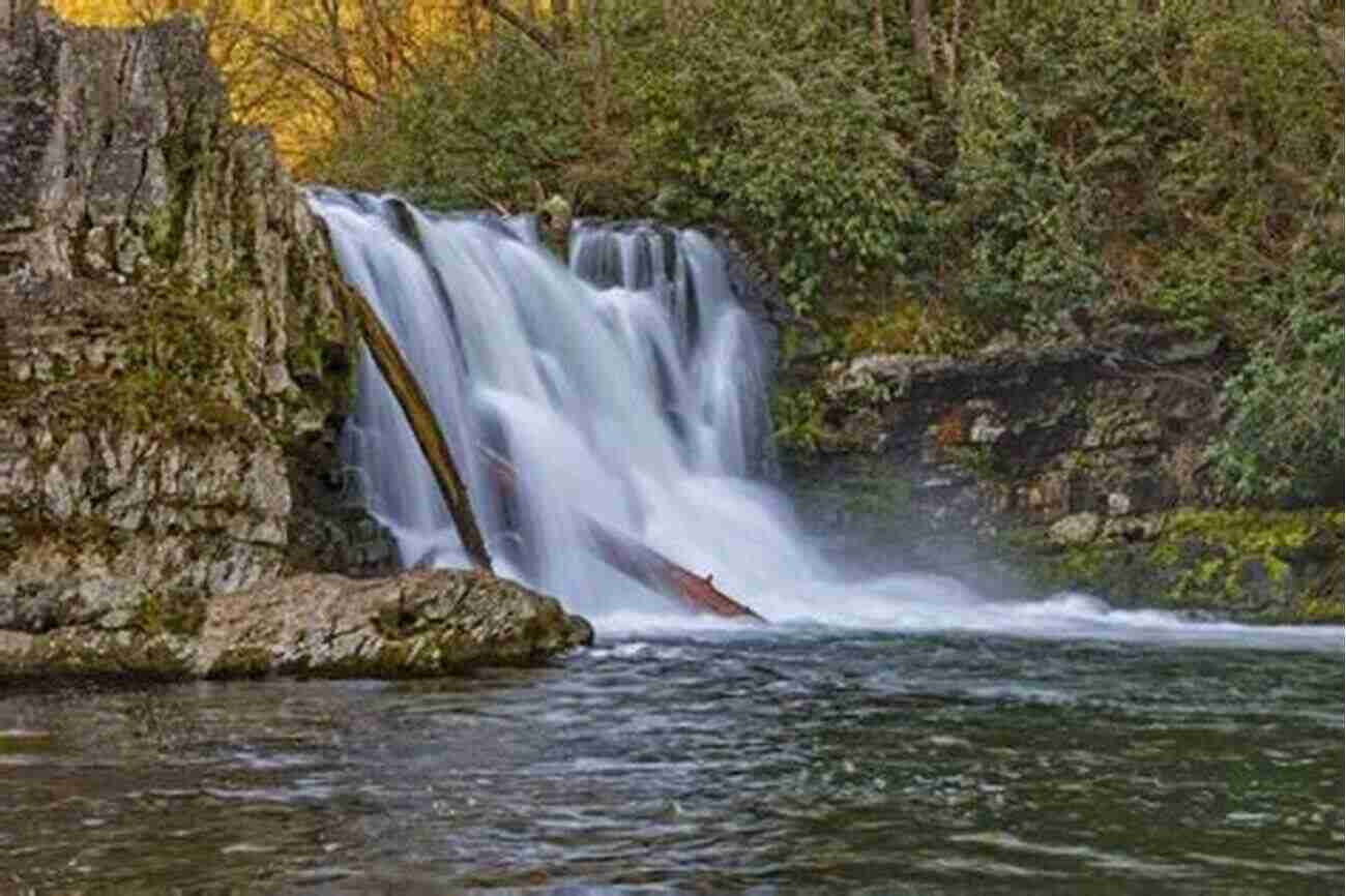 Chasing Waterfalls In The Smoky Mountains A Year In The Woods: Twelve Small Journeys Into Nature