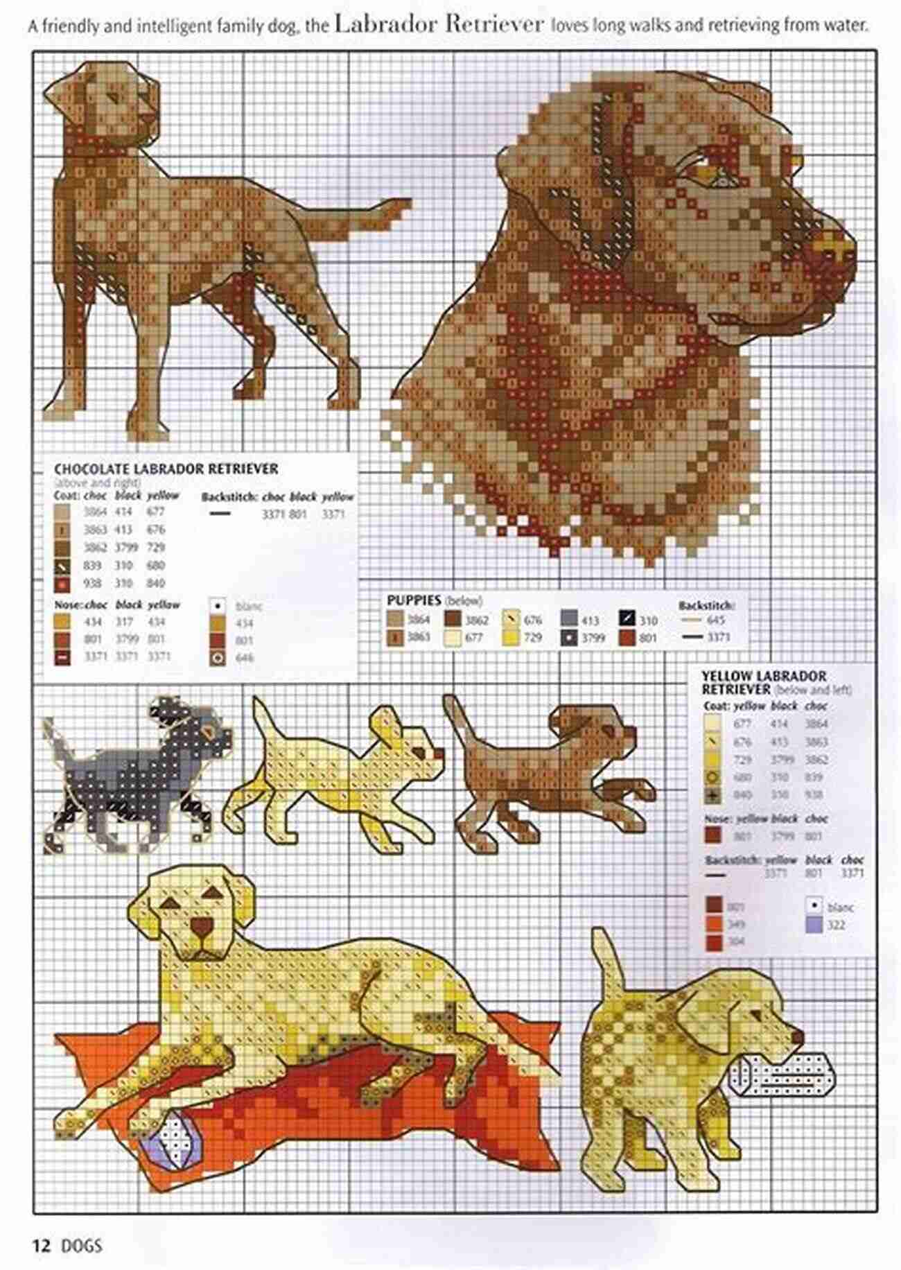 Chocolate Lab Puppy Cross Stitch Pattern Chocolate Lab Puppy Cross Stitch Pattern: Printable Labrador Dog PDF Pattern 2 Kinds Of Charts DMC Floss