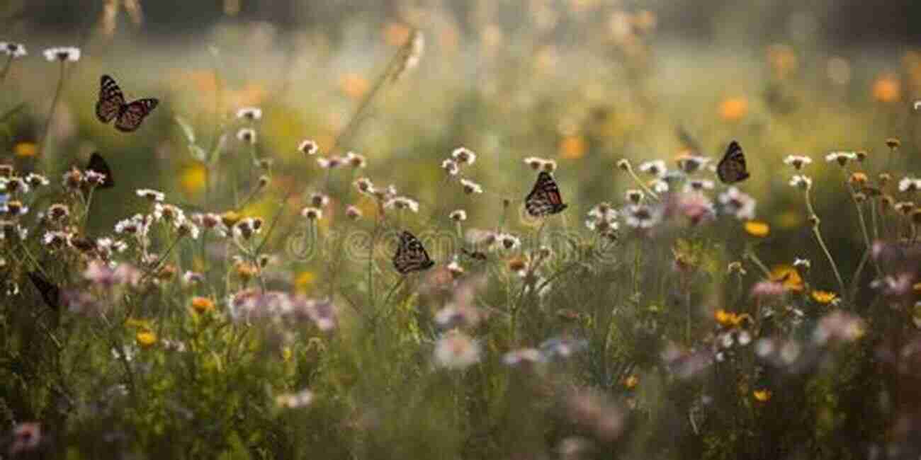 Colorful Butterflies Fluttering Around Vibrant Wildflowers In A Picturesque Meadow A Buzz In The Meadow: The Natural History Of A French Farm