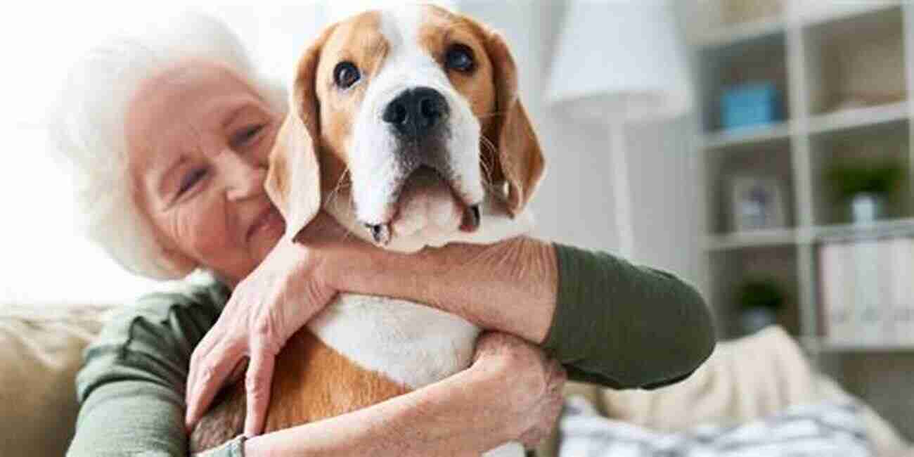 Complete Care For Your Aging Dog: How To Provide The Best Care For Your Senior Furry Companion Complete Care For Your Aging Dog