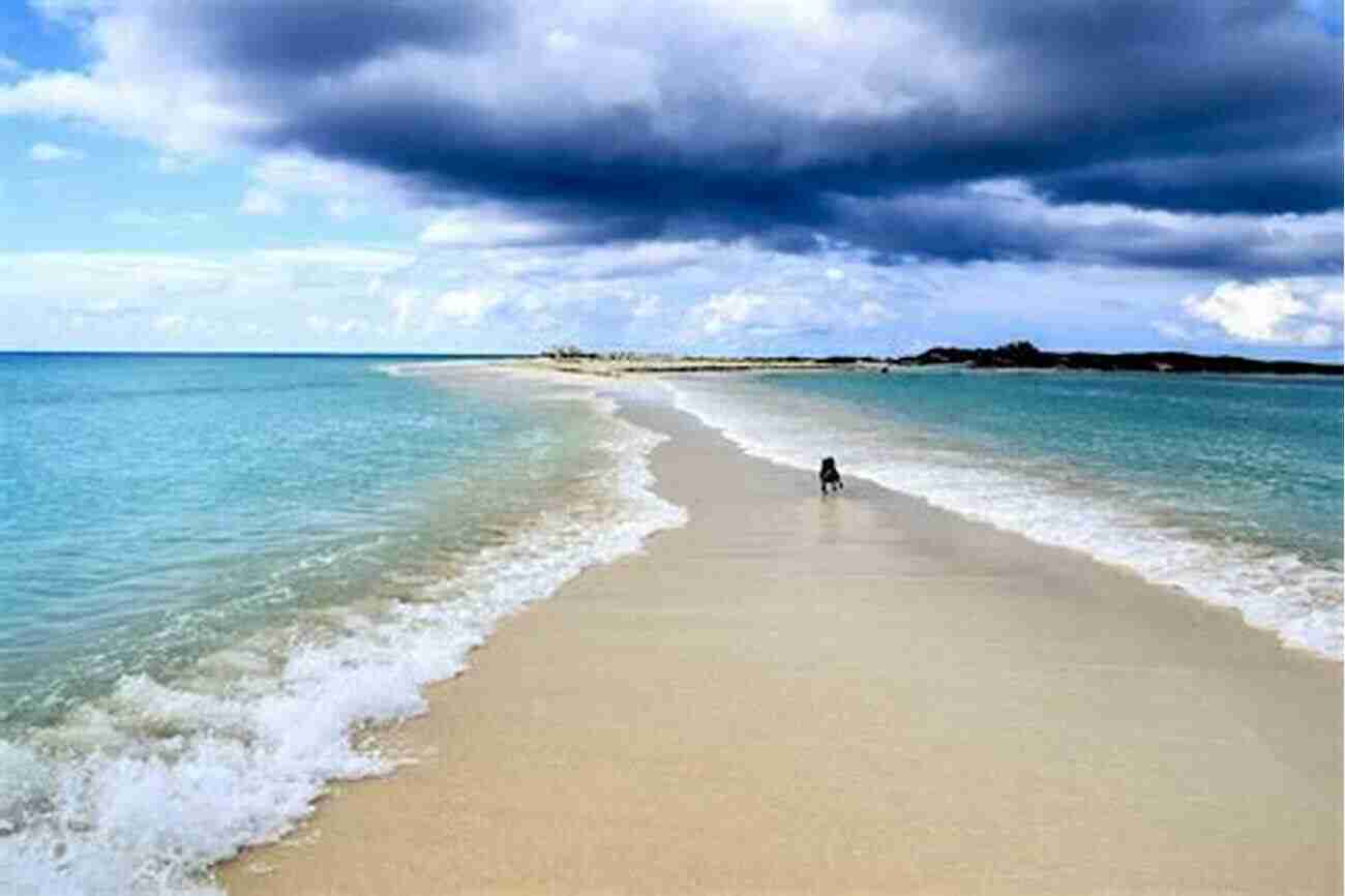 Crystal Clear Water And White Sandy Beaches In Los Roques Venezuela Travel Guide: Discover The Best Time To Go Places In Venezuela