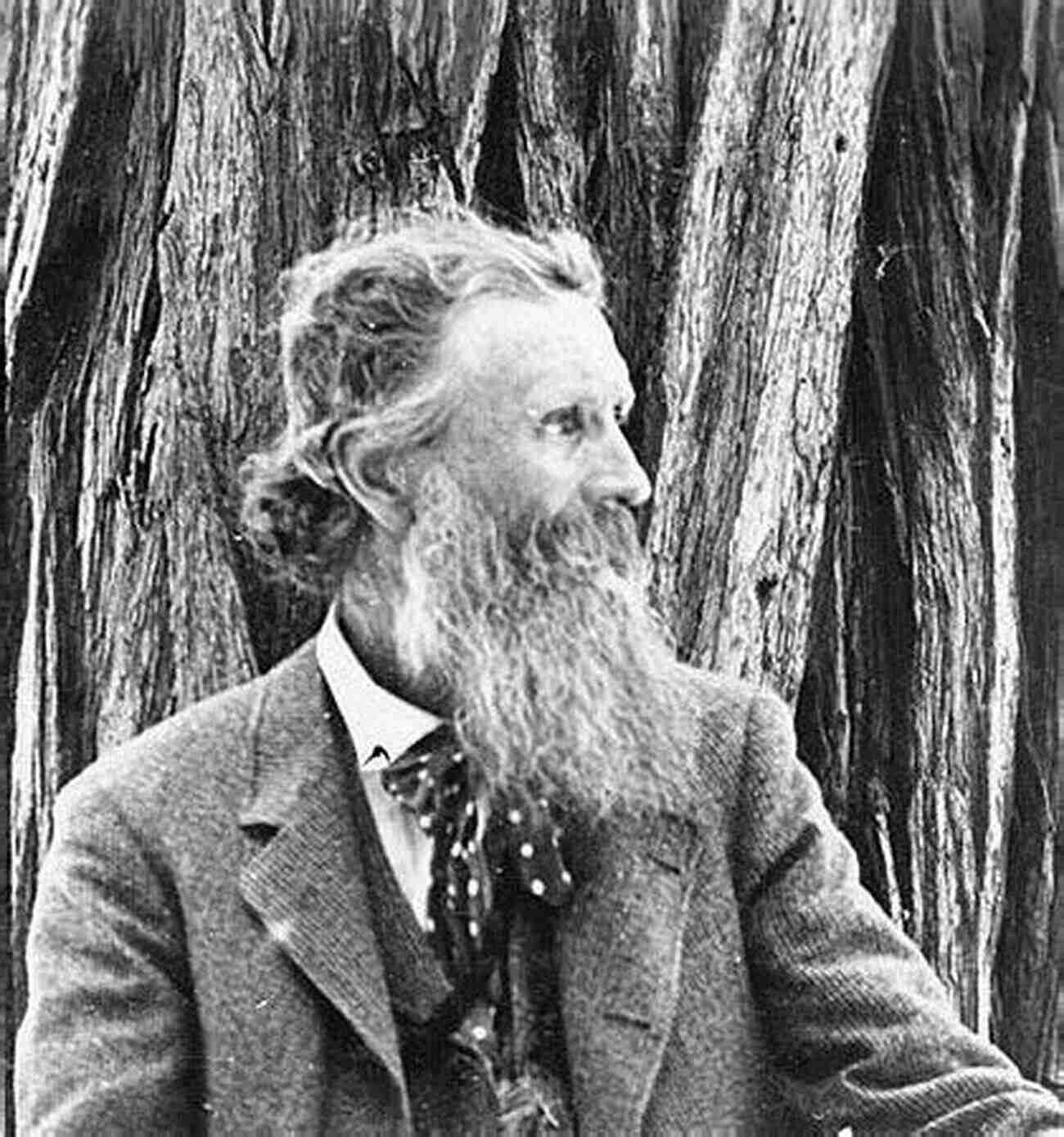 Cultural Heritage Exploration A Thousand Mile Walk To The Gulf: A Radical Nature Travelogue From The Founder Of National Parks (John Muir: The Eight Wilderness Discovery 2)