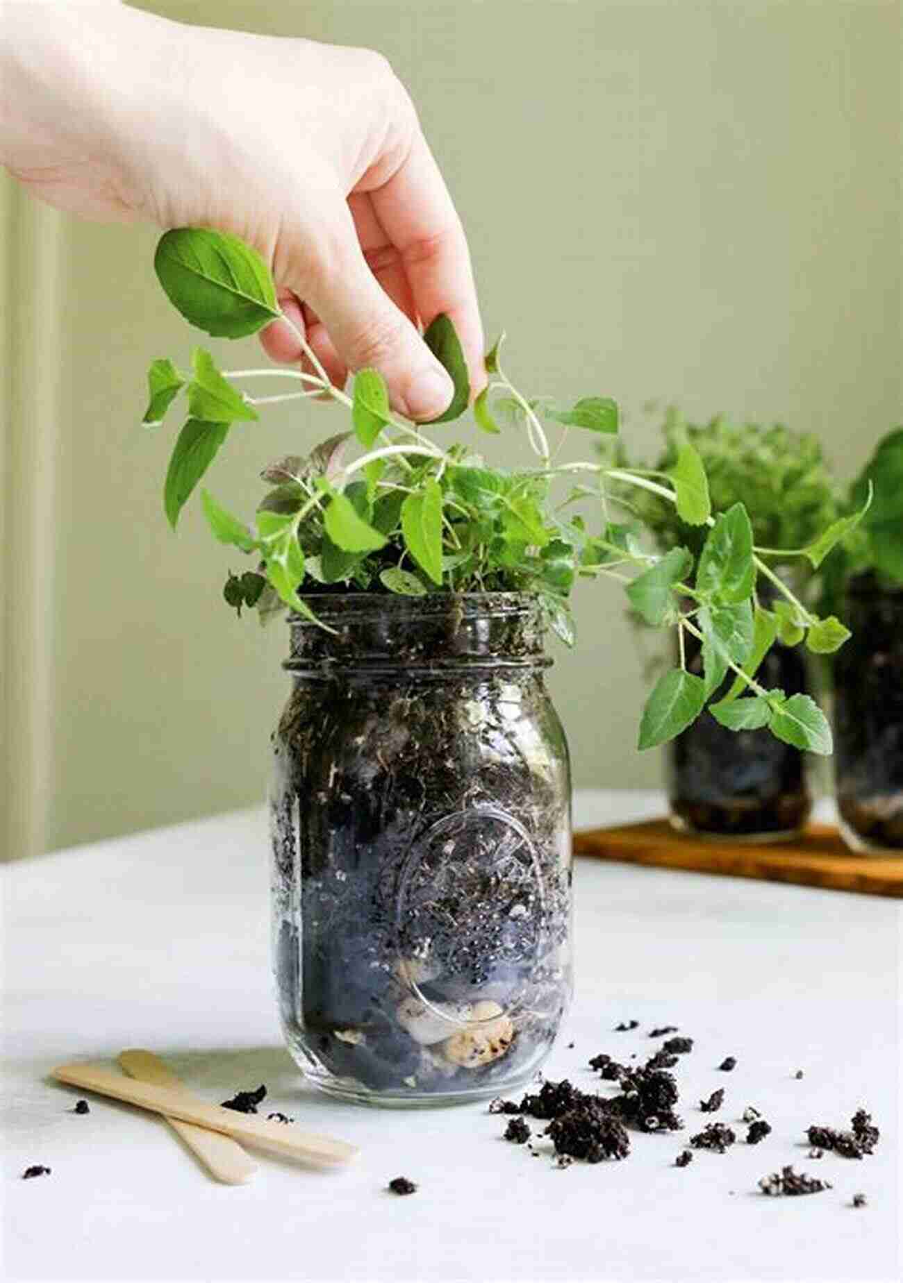 DIY Mason Jar Herb Garden Physics: Try This At Home: Hands On Physics For The Fearful