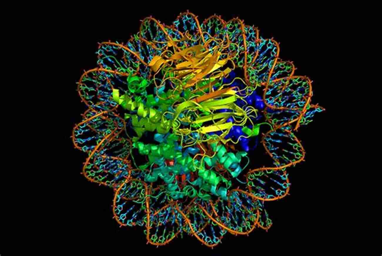 DNA Complexity Questions The Theory Of Evolution Evolution Unraveled: How Science Disproves Evolution