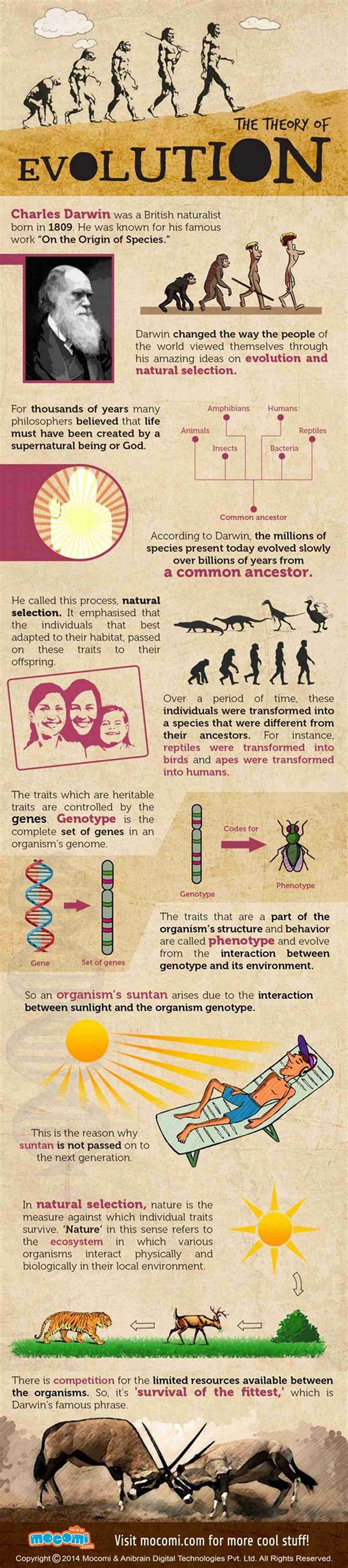 Darwinian Evolution Infographic Darwinian Evolution (Social Policy And Social Theory Series)