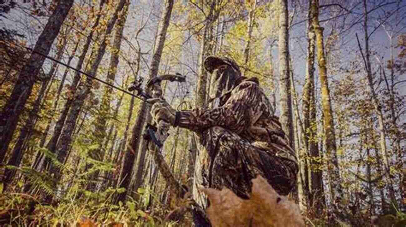 Discover The Ultimate Bowhunting Techniques To Boost Your Success Balanced Bowhunting II: The Modern Bowhunting Guide