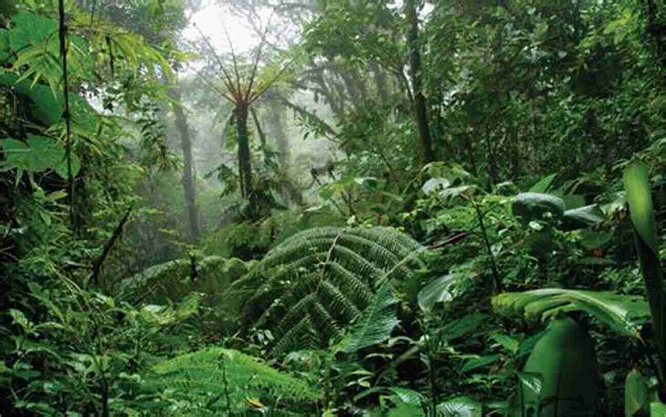 Diverse Flora And Fauna In A Lush Rainforest Hen S Teeth And Horse S Toes: Further Reflections In Natural History