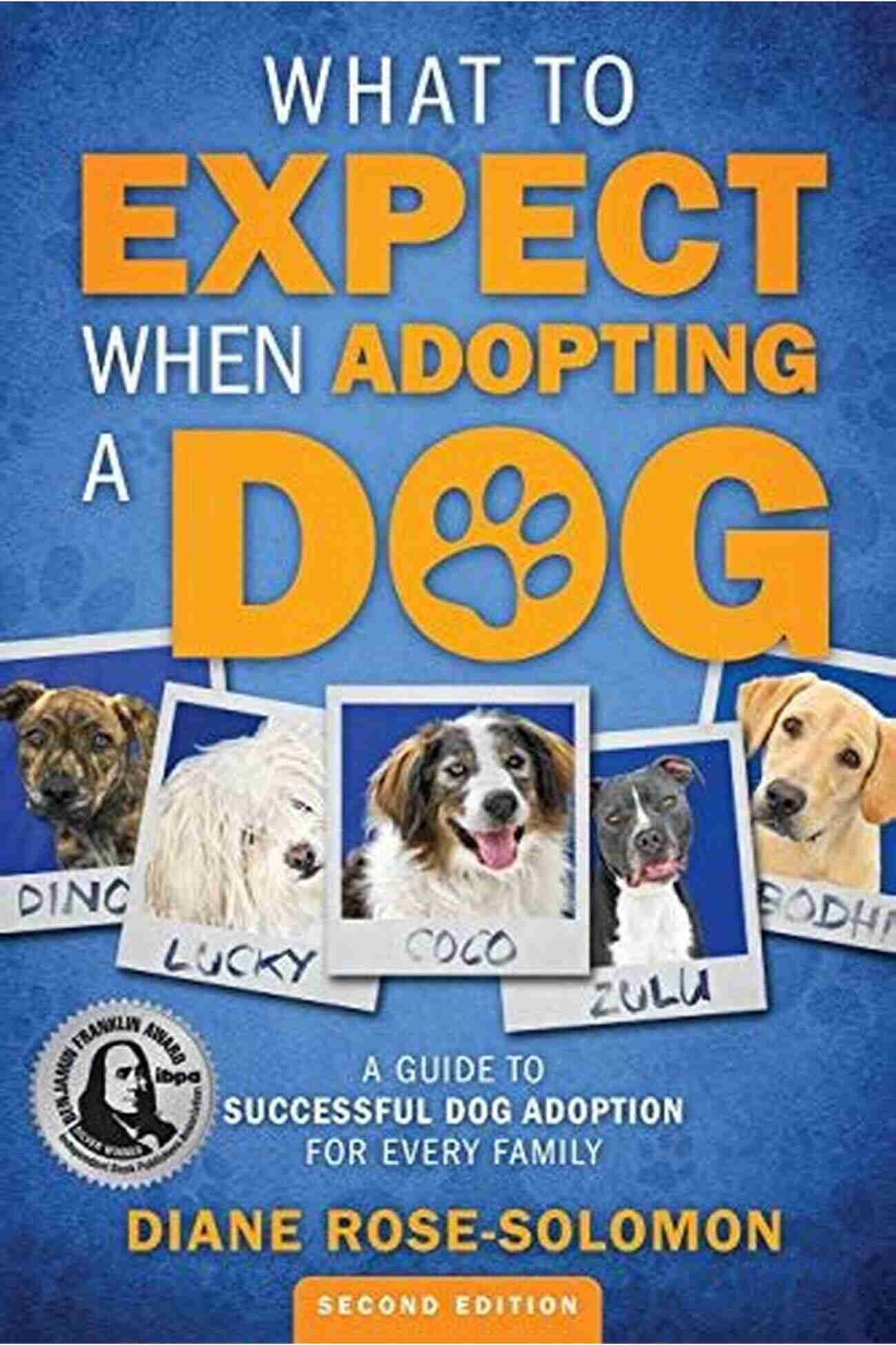 Dog Friendly Home What To Expect When Adopting A Dog: A Guide To Successful Dog Adoption For Every Family