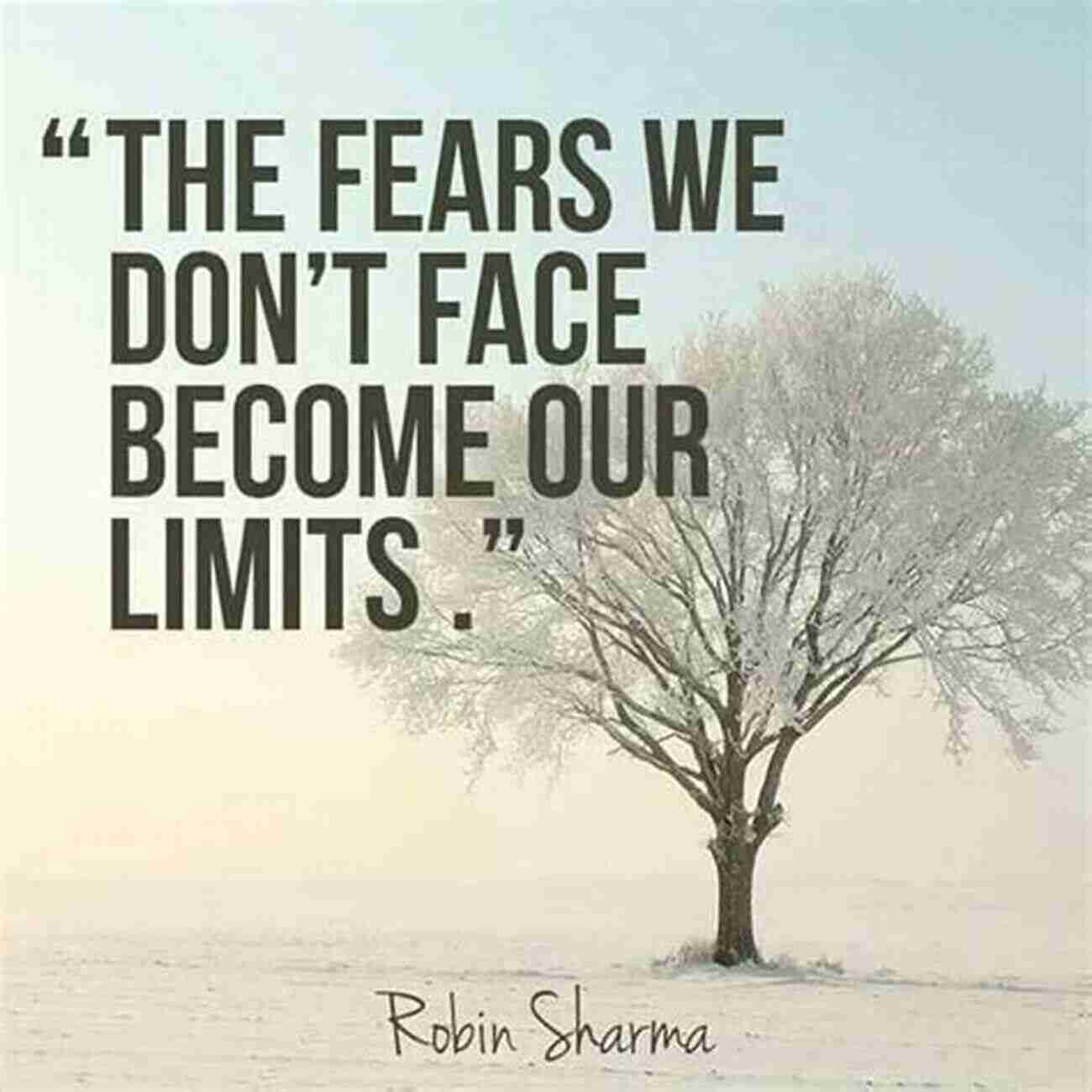 Don't Be Afraid To Win Embrace Success And Overcome Fear Don T Be Afraid To Win: How Free Agency Changed The Business Of Pro Sports