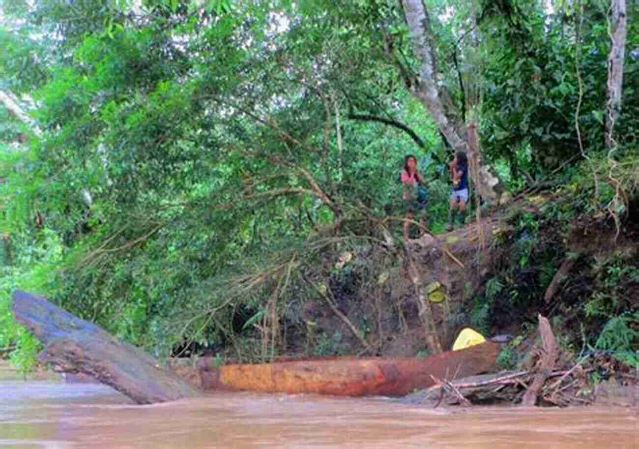 Drifting Along The Amazon River Bicycling Peru: Over The Andes And Drifting The Amazon