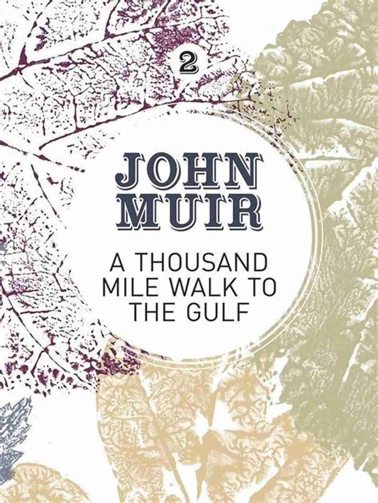 Enchanted Forest Wonderland A Thousand Mile Walk To The Gulf: A Radical Nature Travelogue From The Founder Of National Parks (John Muir: The Eight Wilderness Discovery 2)