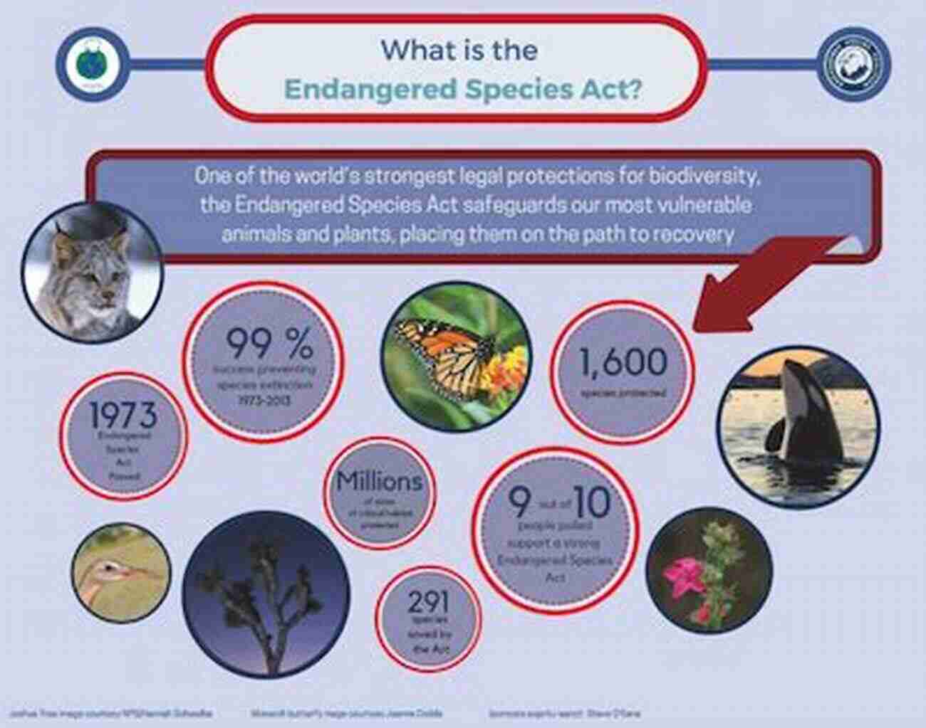 Endangered Species In Need Of Conservation Efforts Hen S Teeth And Horse S Toes: Further Reflections In Natural History