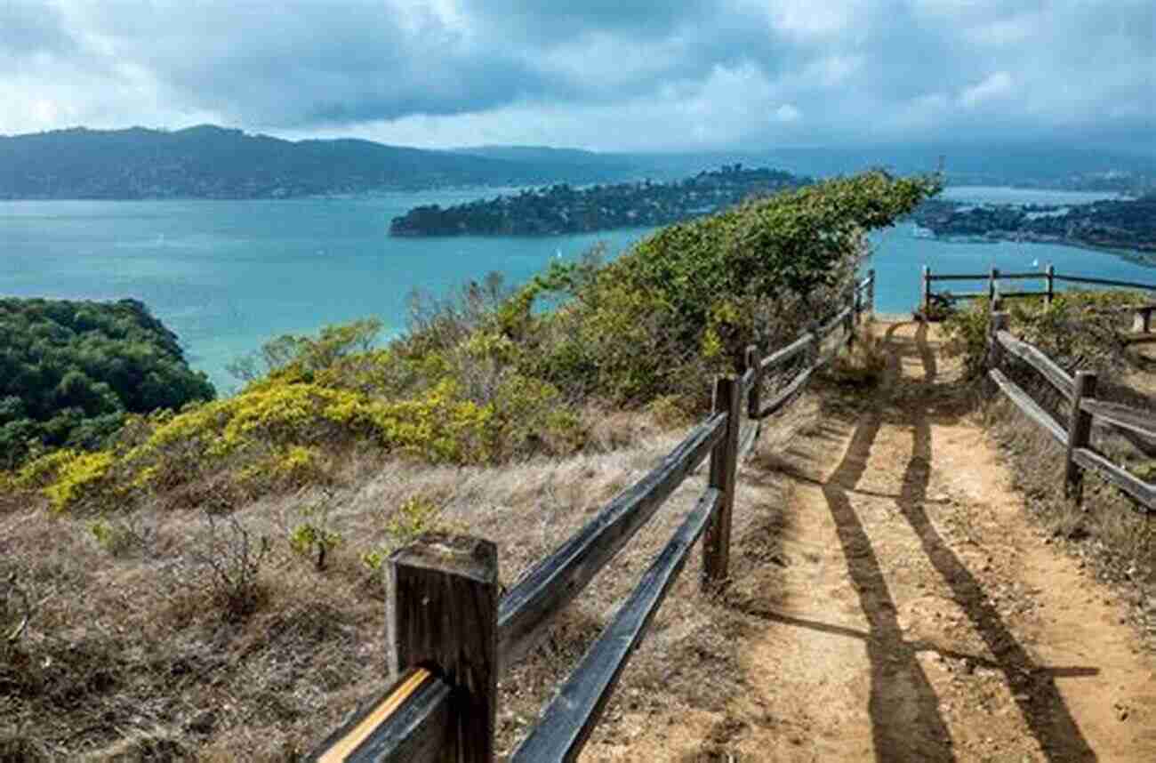 Explore The Breathtaking Trails In The San Francisco Bay Area Hiking The San Francisco Bay Area: A Guide To The Bay Area S Greatest Hiking Adventures (Regional Hiking Series)