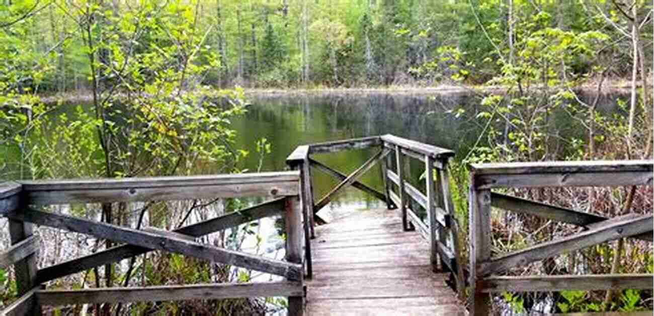 Exploring The Diverse Wetland Ecosystem Along The Wetland Trail Easy Walks And Paddles In The Ten Mile River Watershed: Attleboro North Attleboro Plainville Seekonk East Providence And Pawtucket (Easy Walks In Massachusetts 3)