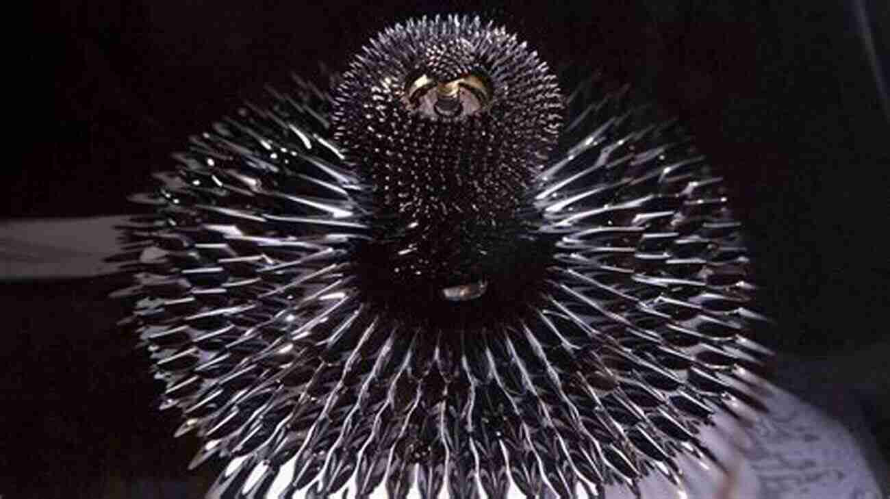 Ferrofluids Quirky Science (Wonders Of Science 1)