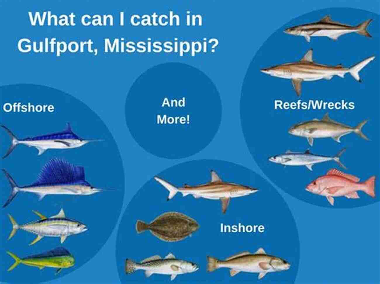 Fish Species On Mississippi Gulf Coast In June How To Fish Mississippi S Gulf Coast In June