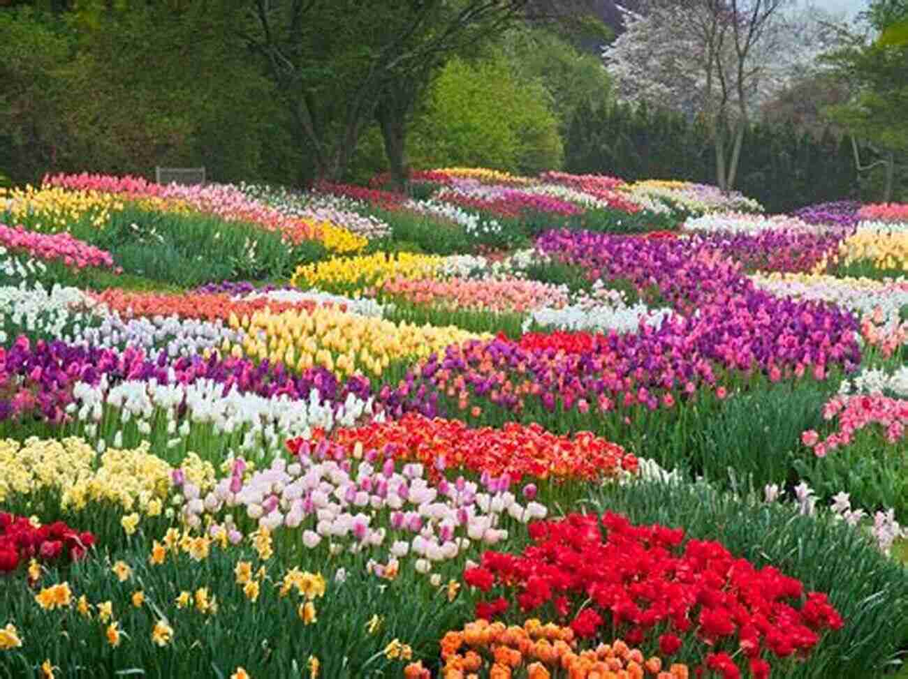 Garden Of The World Blooming Flowers In Full Bloom Garden Of The World: Asian Immigrants And The Making Of Agriculture In California S Santa Clara Valley