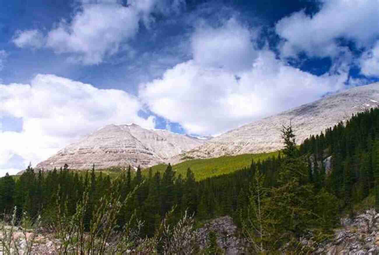 Globe Trotter Captivated By Nature's Majesty In A National Park Everything Everywhere: A Fact Filled Adventure For Curious Globe Trotters