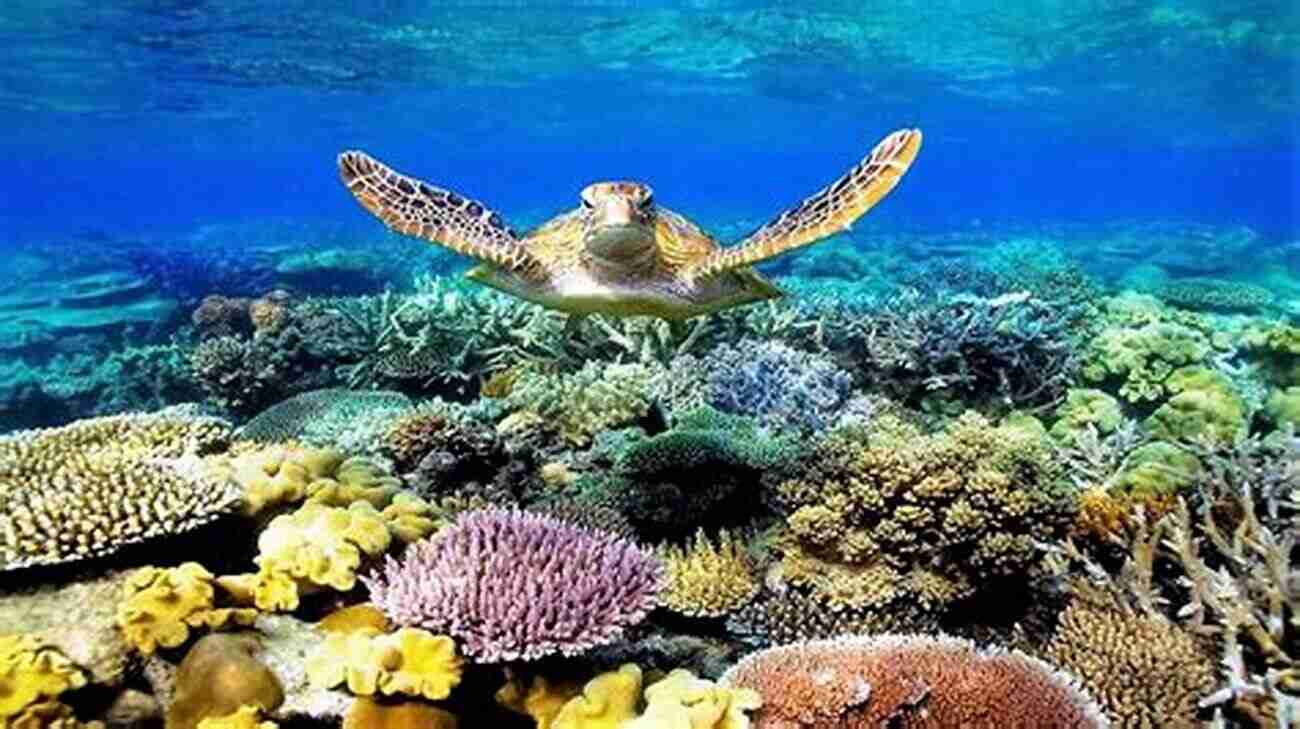 Great Barrier Reef, Australia Places To Go Nalynn Dolan Caine