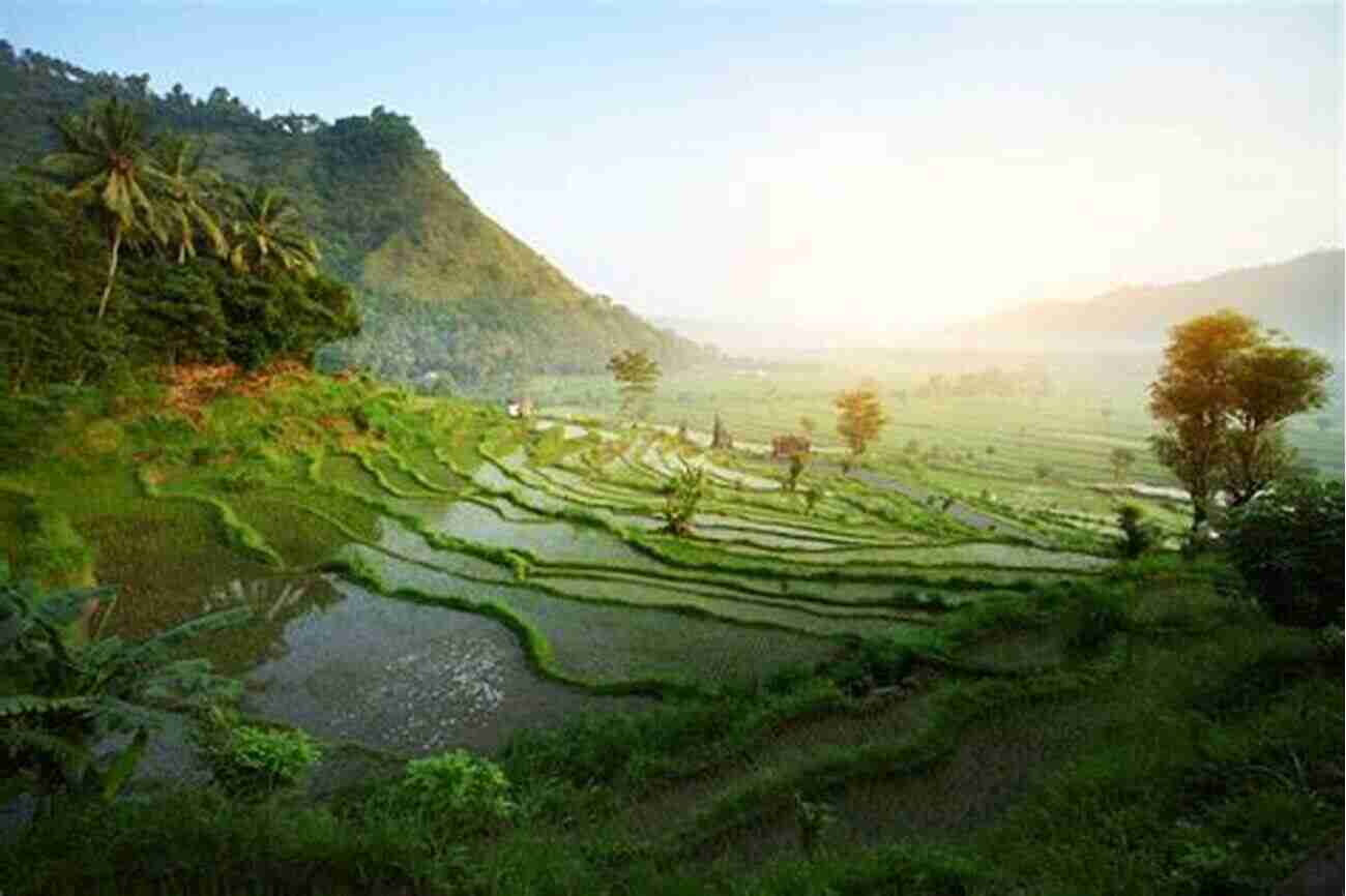 Greater Than Tourist Bali Indonesia Explore The Ultimate Tropical Paradise Greater Than A Tourist Bali Indonesia: 50 Travel Tips From A Local (Greater Than A Tourist Indonesia)