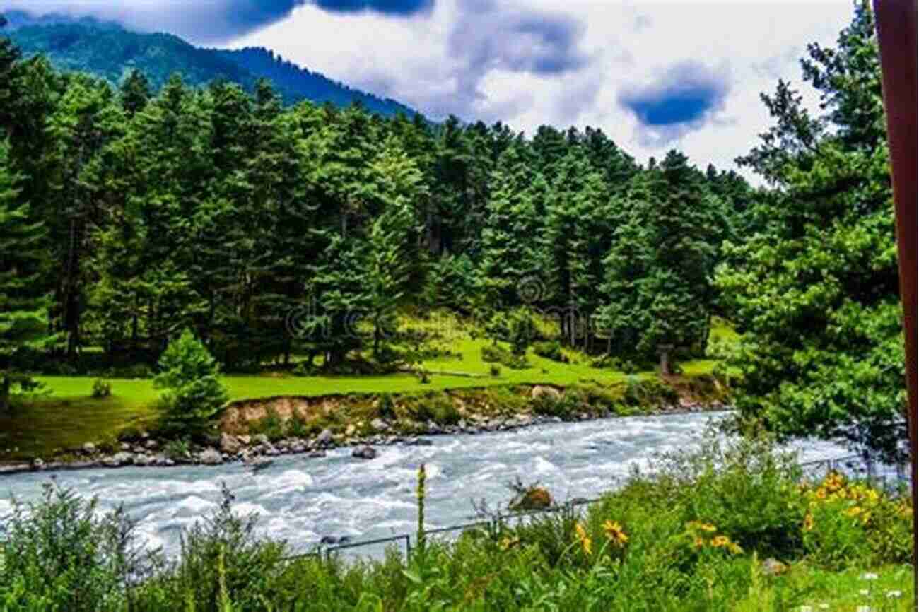 Green Mountains With Flowing Rivers And Lush Forests Rescuing The Planet: Protecting Half The Land To Heal The Earth