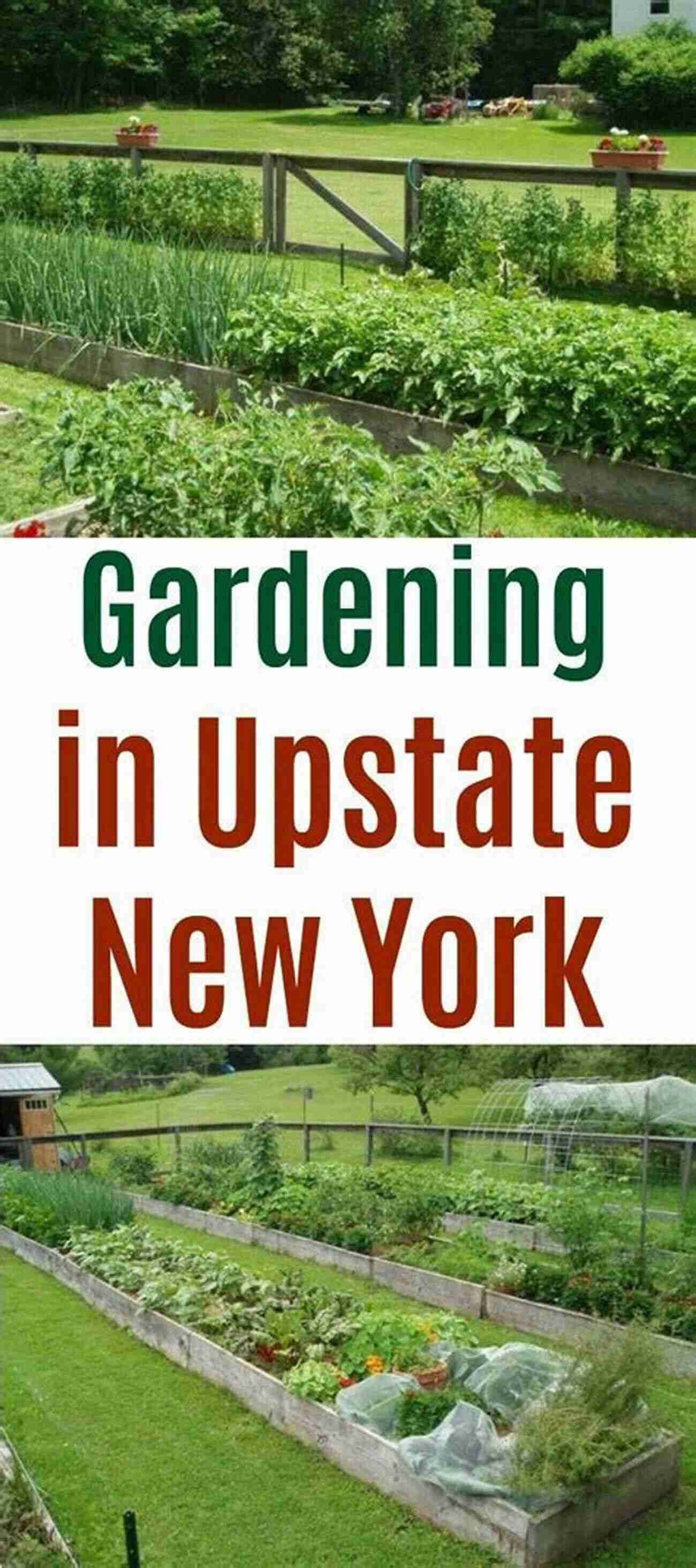 Grow Great Vegetables In New York: A Beautiful Vegetable Garden In New York Grow Great Vegetables In New York (Grow Great Vegetables State By State)