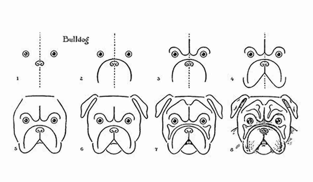 How To Draw Bulldog How To Draw A Bulldog In Six Easy Steps