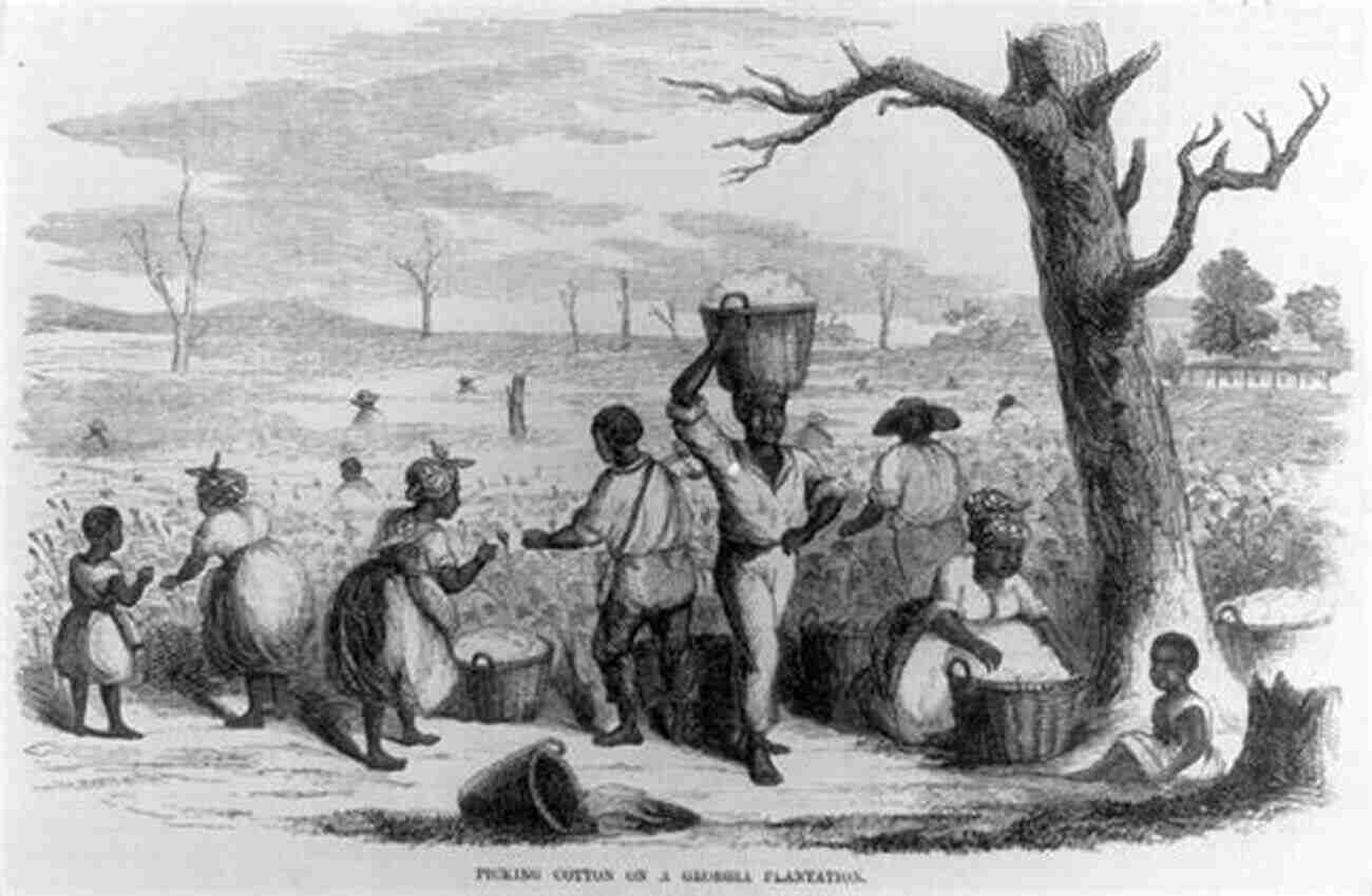 Illustration Of Enslaved Individuals Working On A Plantation The Routledge History Of Slavery (Routledge Histories)