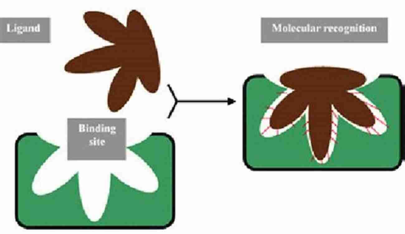 Illustration Of Molecular Recognition Biochirality: Origins Evolution And Molecular Recognition (Topics In Current Chemistry 333)