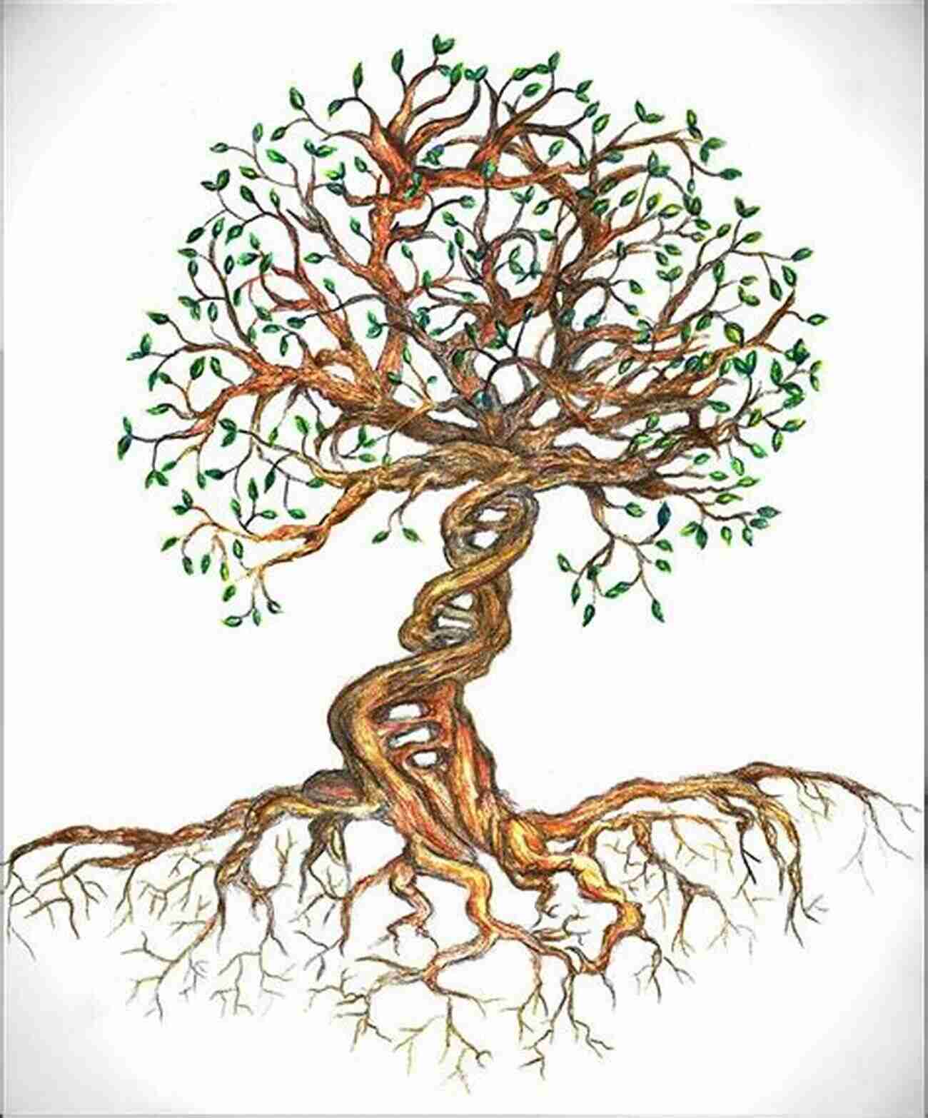 Illustration Of The Tree Of Life Biochirality: Origins Evolution And Molecular Recognition (Topics In Current Chemistry 333)